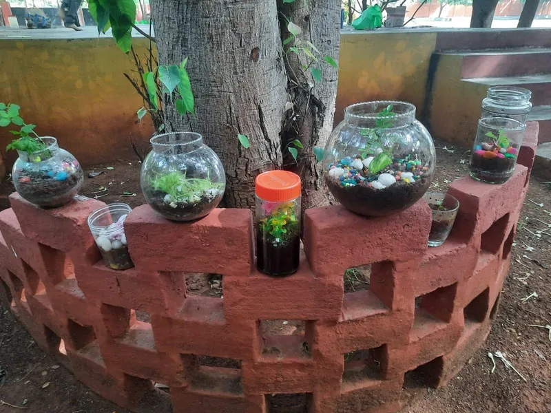 Grade 7 Terrarium activity 6_result Engaged learning as a student from a top school in Salem plants greenery in a terrarium.