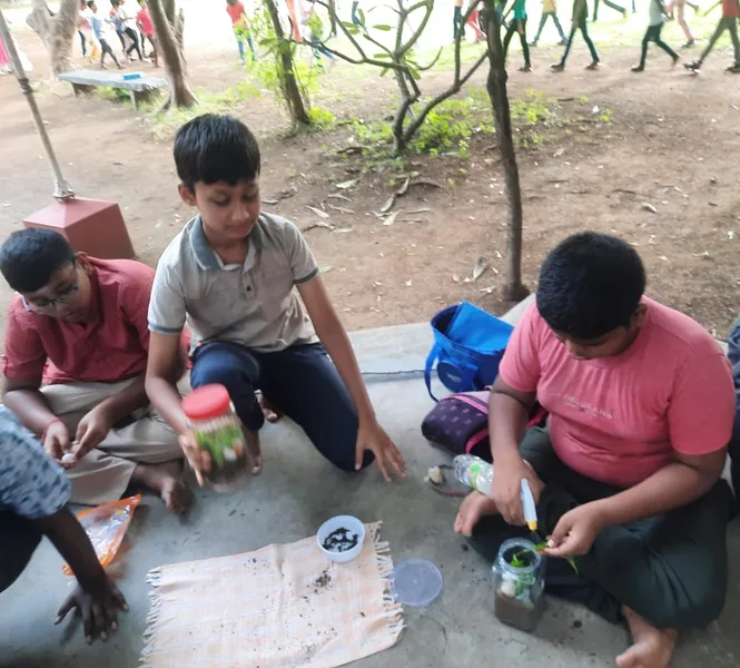 Crafting Terrariums in Geography: 7th std – CBSE School Salem