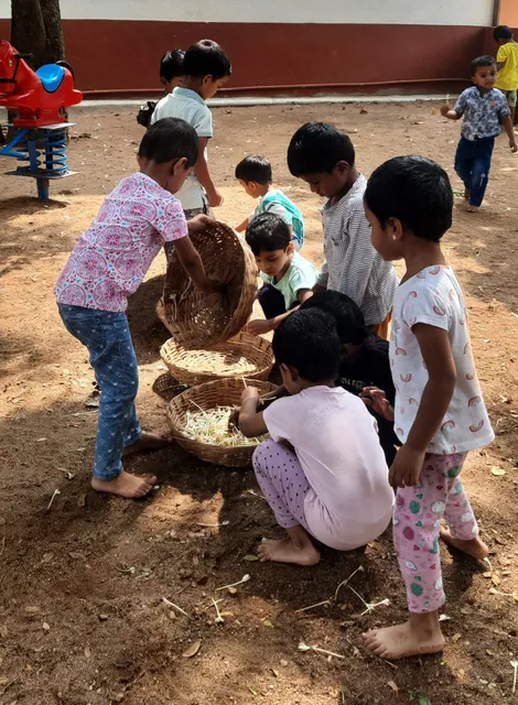 Young learners at Vidhya Peetham i-School collecting 'Akash Malli' flowers from the school playground, immersed in nature.