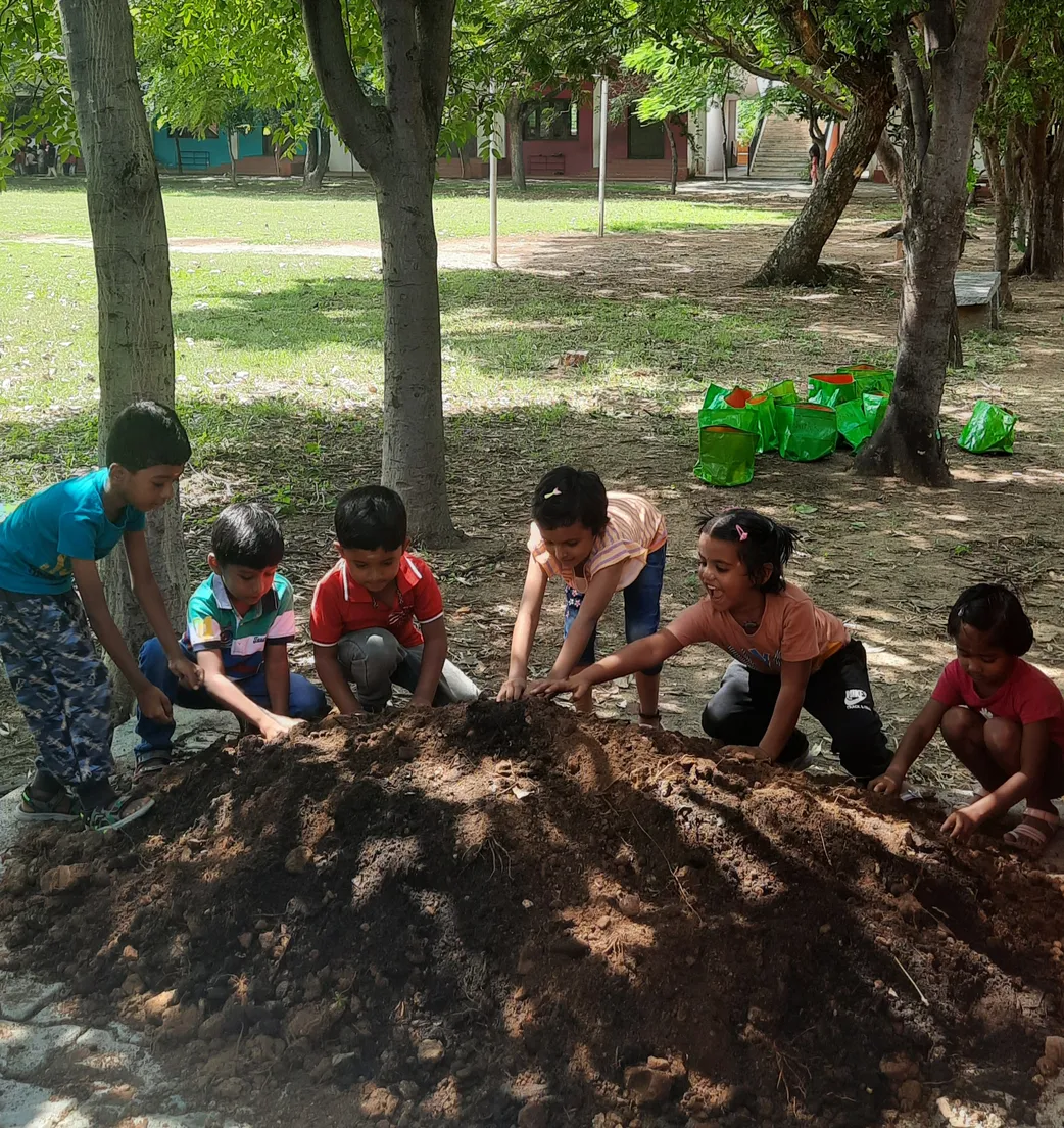 Gardening Activity