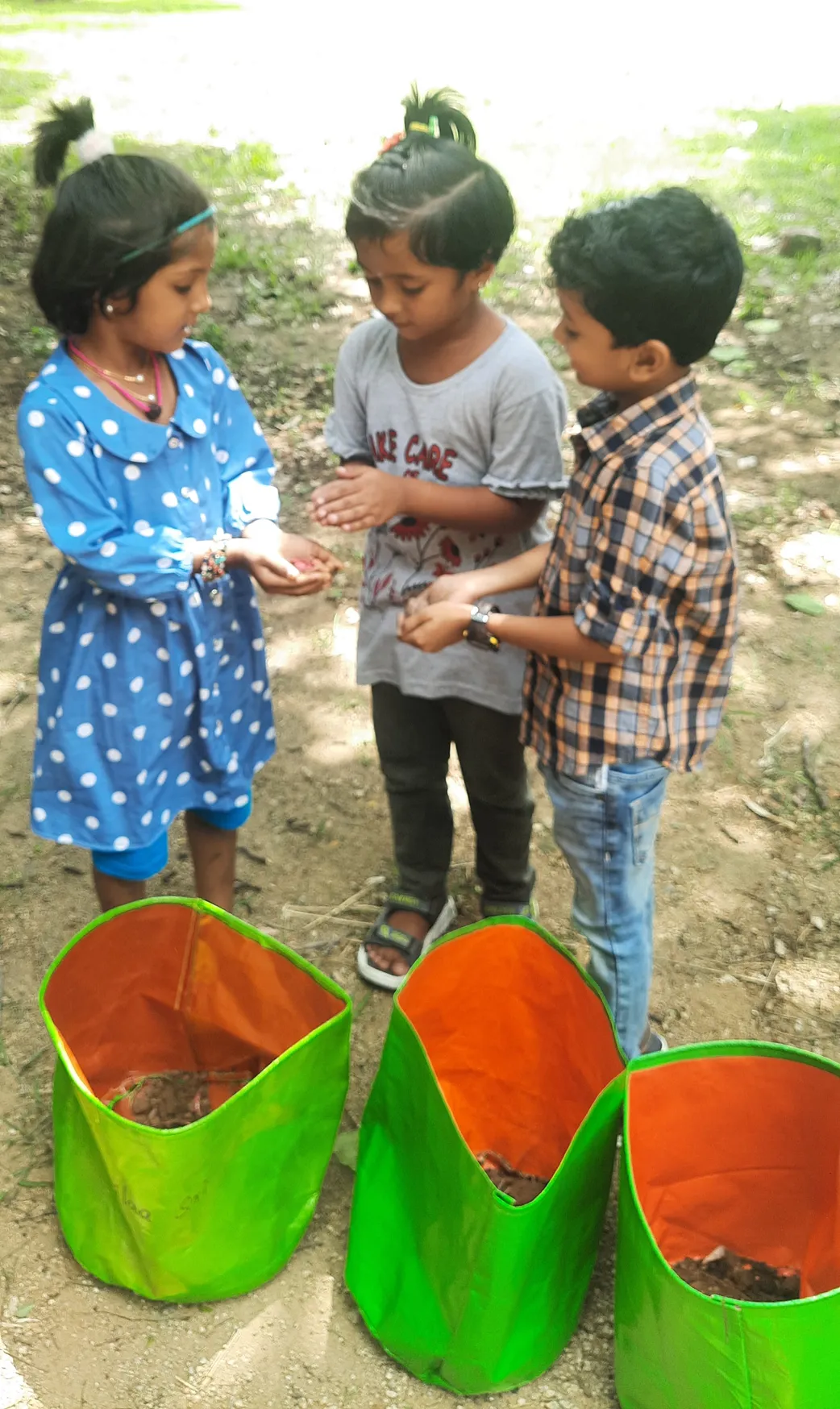 Gardening Activity