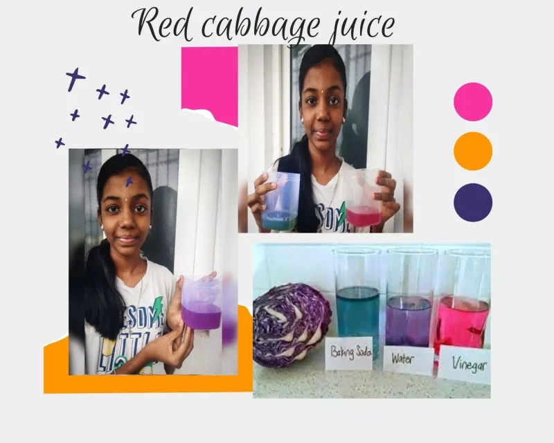 Vibrant color changes observed in a home-based science experiment by Grade 9 students at a top school in Salem