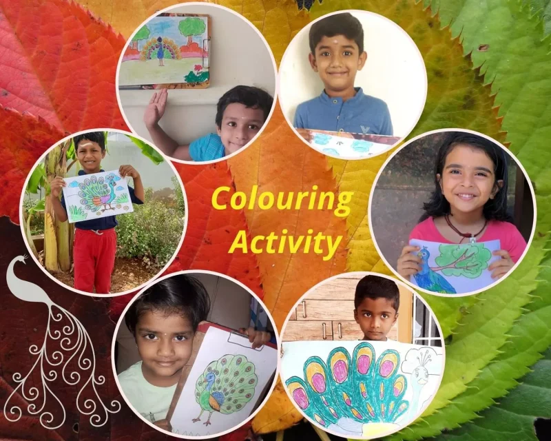 A burst of colors on peacock drawings by UKG children, highlighting the creative education at the best CBSE school in Salem.