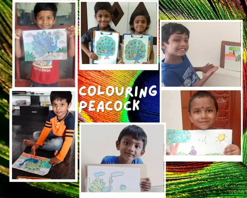 Young artists of Vidhya Peetham i-School in Salem diligently filling colors in peacock outlines during their UKG class activity.