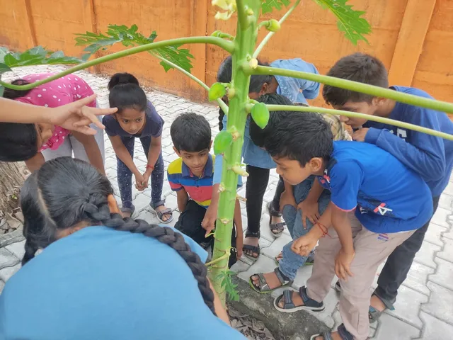 Students of Vidhya Peetham i-School in Salem gather around a papaya tree to learn about the flower to fruit transformation, embracing hands-on education.