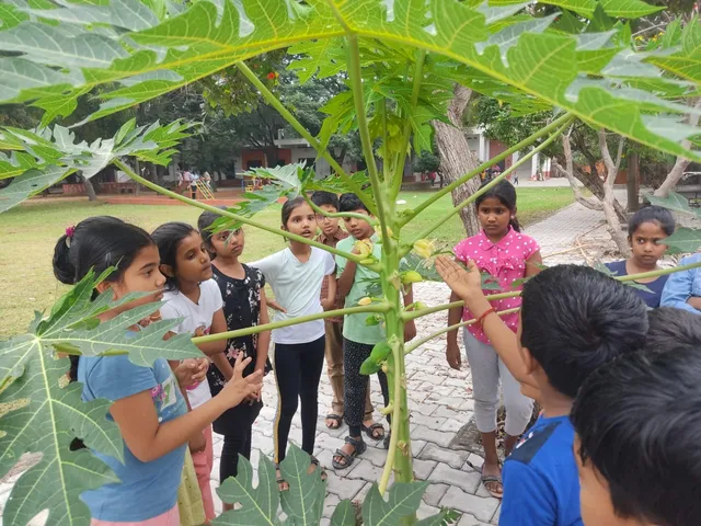 Grade 1-5 students from a best CBSE school in Salem excitedly participating in a nature activity, studying the stages of a papaya tree's growth.