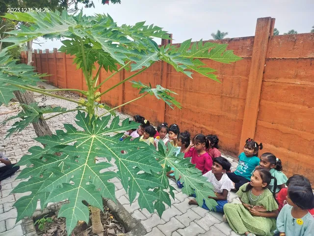Pupils from a school in Salem gather for a practical lesson on the life cycle of plants, focusing on a papaya tree's transition from flowers to fruits.