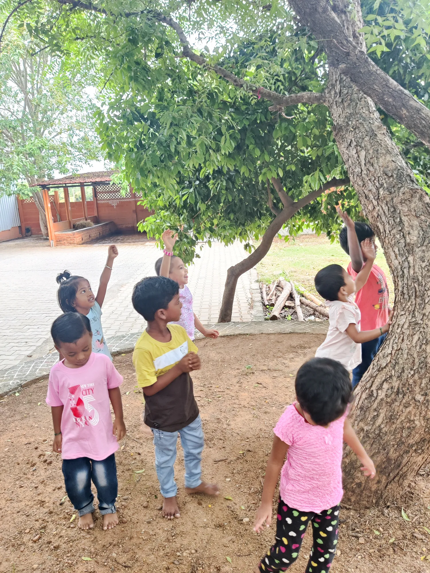 LKG students exploring a neem tree during the Nature Watch activity.