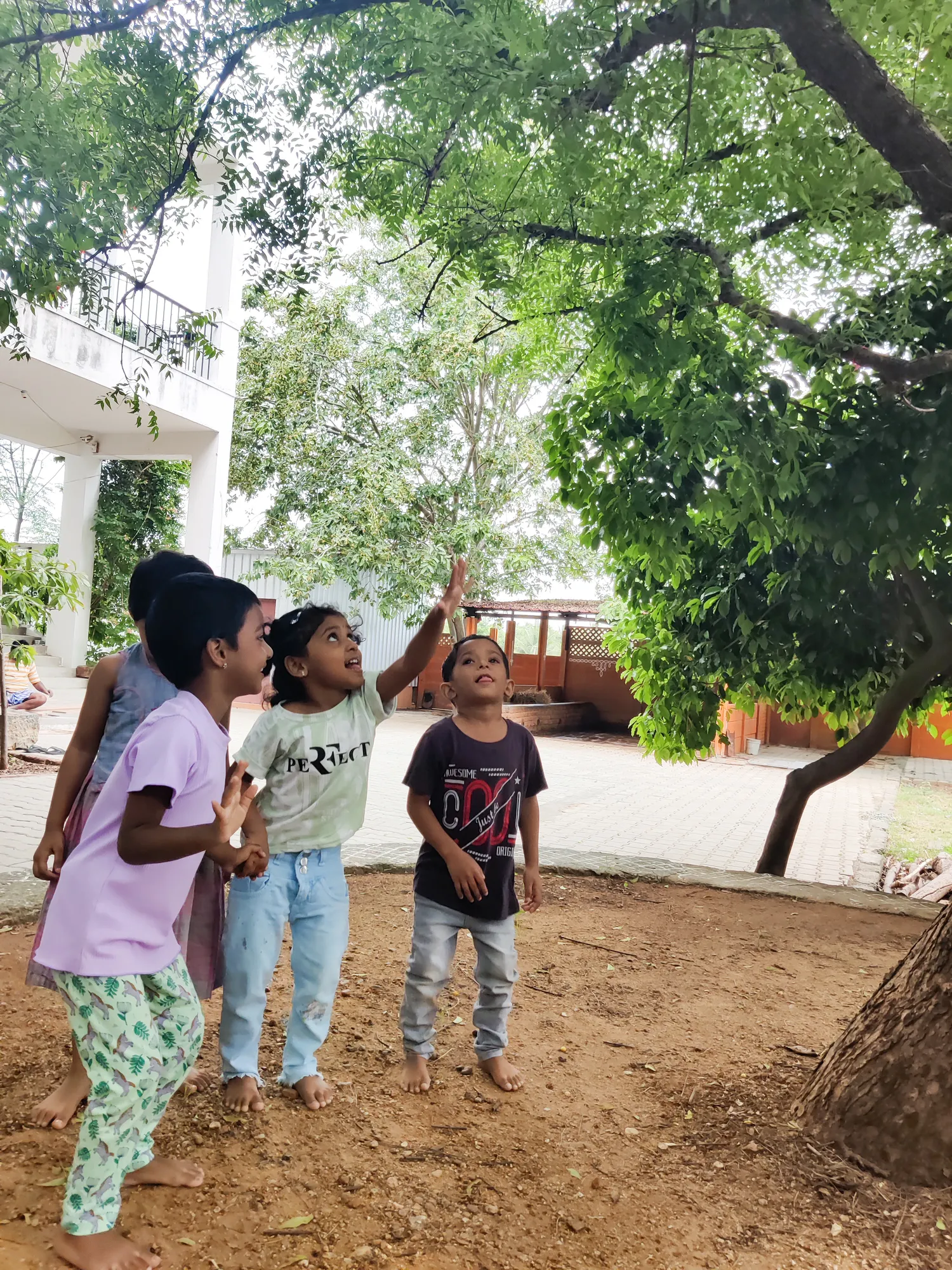 Children under a neem tree, learning about its benefits.