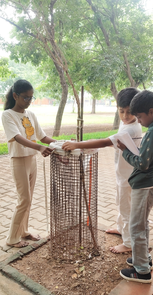 Children measuring the circumference of a tree guard during a practical math lesson at a top school in Salem.