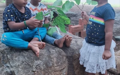 Peepal Tree Adventure