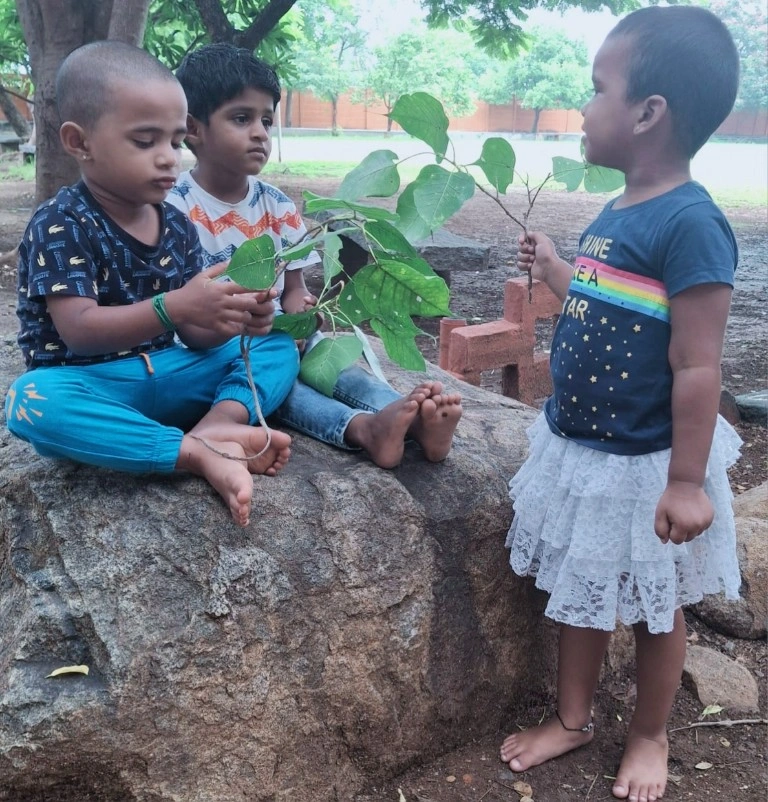Pre-KG students exploring Peepal leaf at best CBSE school in Salem