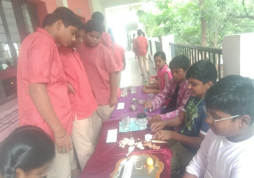 Sorting Materials – Grade 6