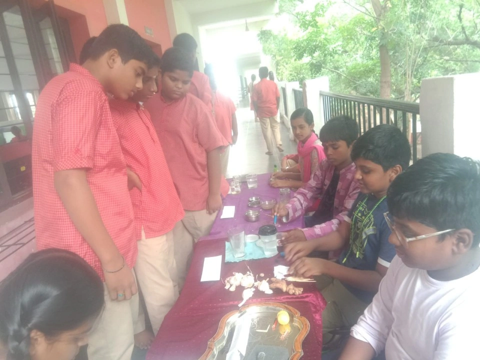 Students at Vidhya Peetham i-School examining materials at outdoor table during sorting materials science activity