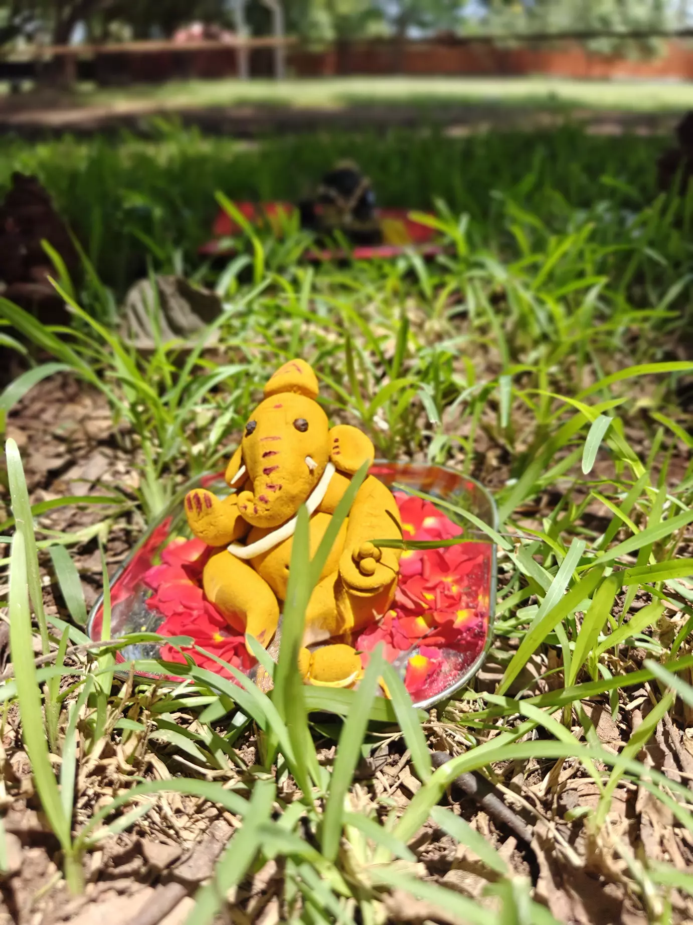 Vinayagar Chaturthi Idos