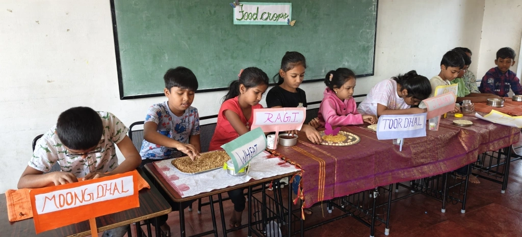 Hands-on agriculture and minerals learning! Grade 4 students explore India's resources with real samples and displays